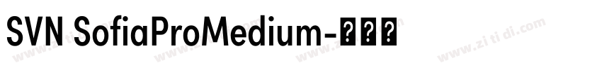 SVN SofiaProMedium字体转换 SVN SofiaProMedium字体转换